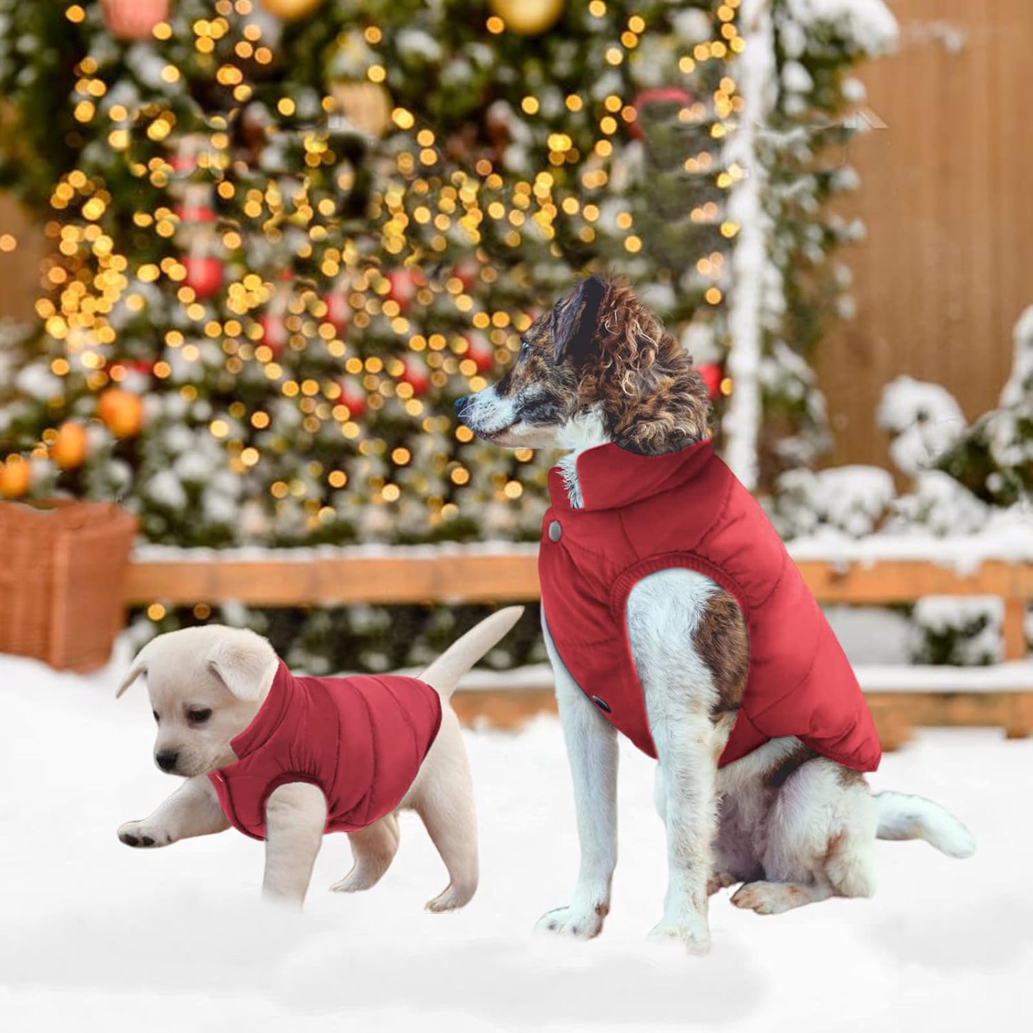 Reversible Double-Sided Puffer Dog Coat | Waterproof, Quilted Warmth & Packable Jacket | Small to Large Dogs