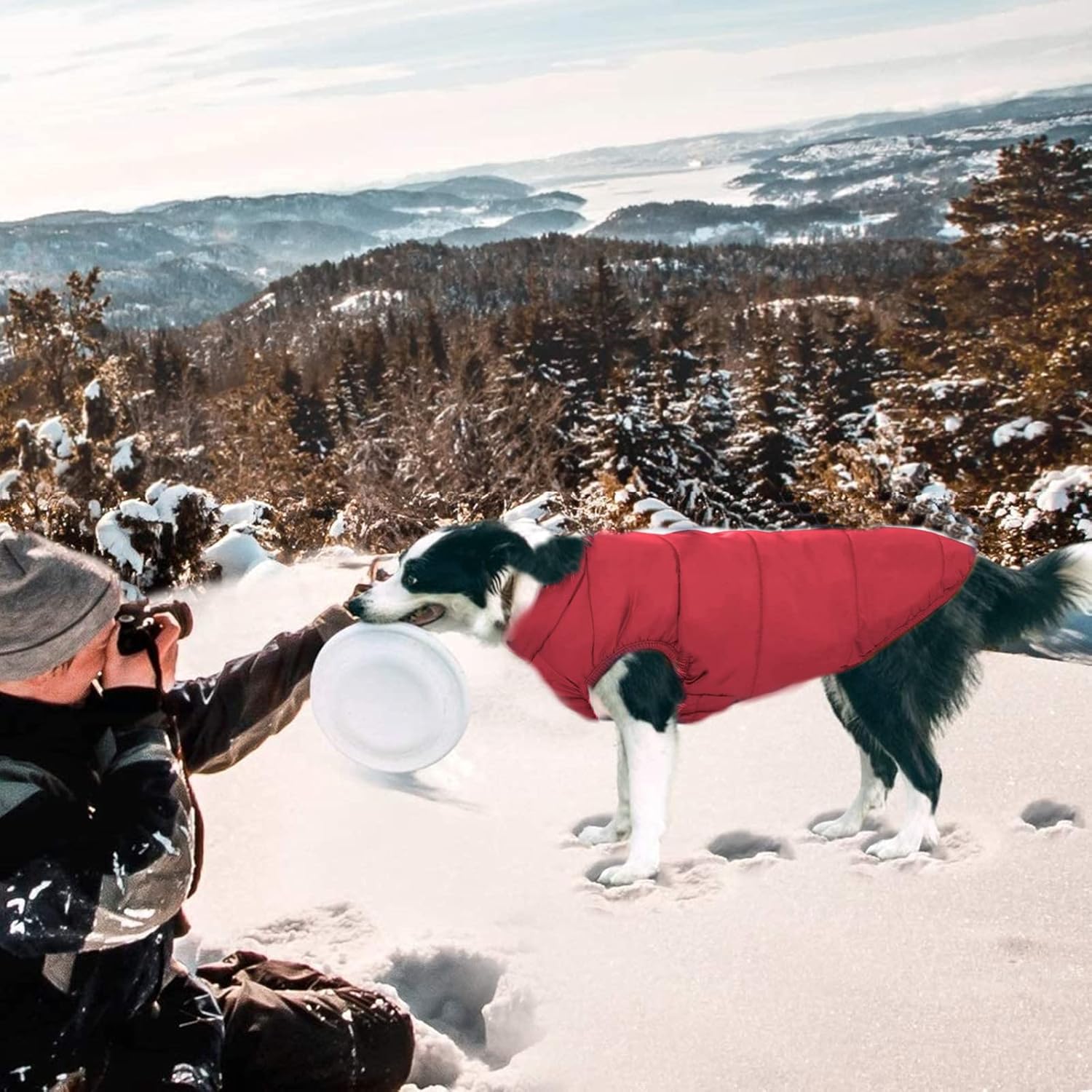 Reversible Double-Sided Puffer Dog Coat | Waterproof, Quilted Warmth & Packable Jacket | Small to Large Dogs