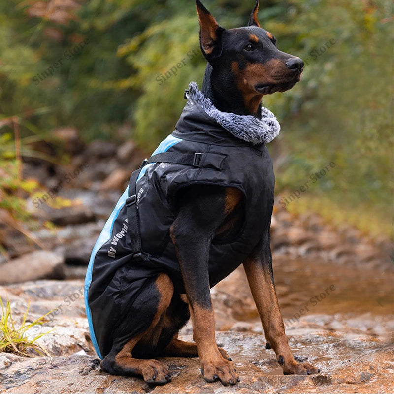 Waterproof Dog Winter Coat | Windproof, Reflective & Warm High Neck Jacket | Detachable Leash Attachment