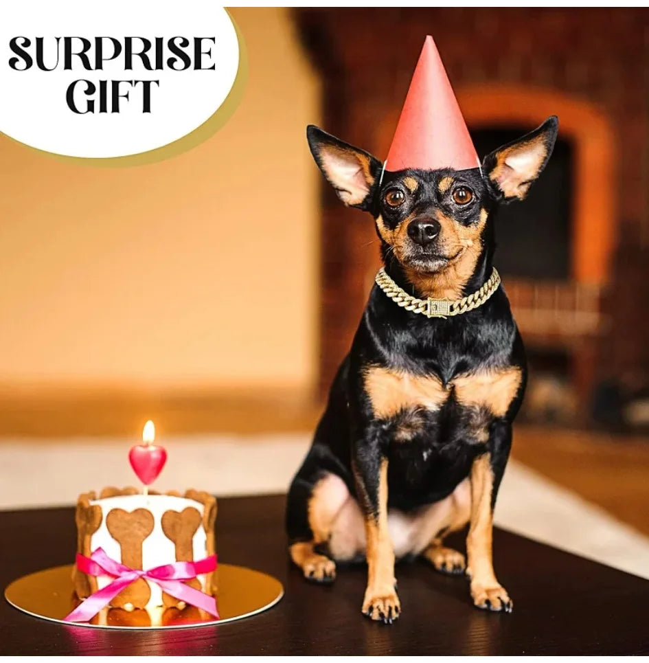 Iced-Out Cuban Link Dog Collar | Heavy Duty Zirconia Diamond & Stainless Steel Chain | Luxury Collar for Large Dogs