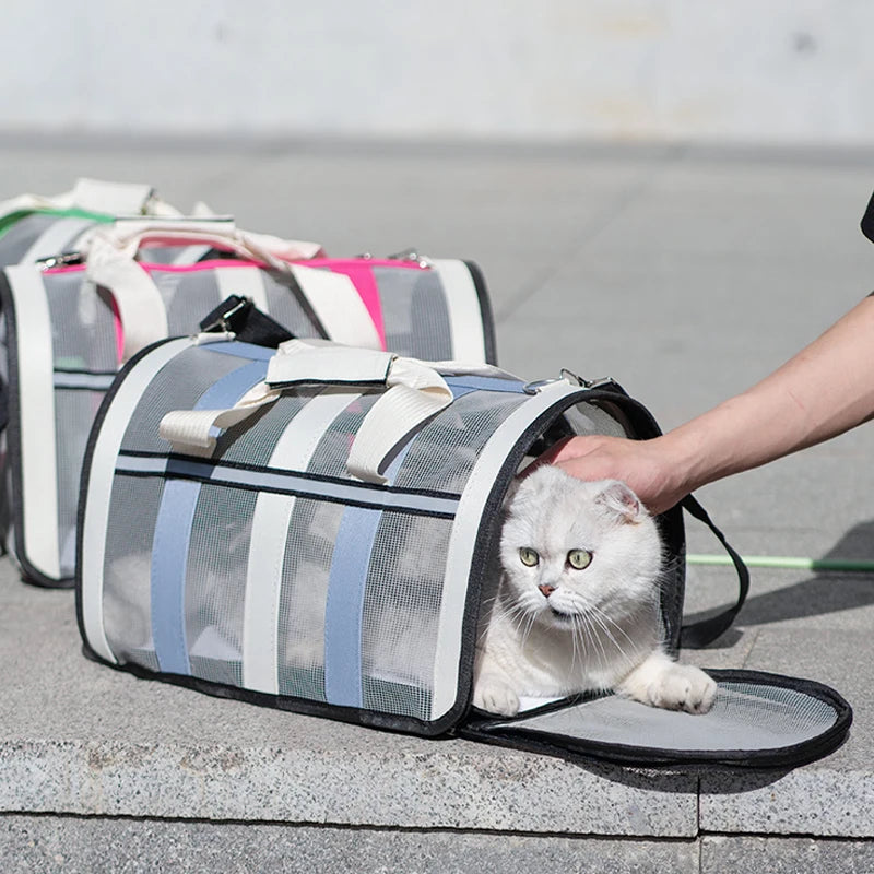 Breathable Soft-Sided Pet Carrier Bag | Foldable Mesh Travel Tote for Cats, Kittens & Small Dogs