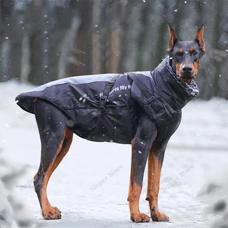 Waterproof Dog Winter Coat | Windproof, Reflective & Warm High Neck Jacket | Detachable Leash Attachment