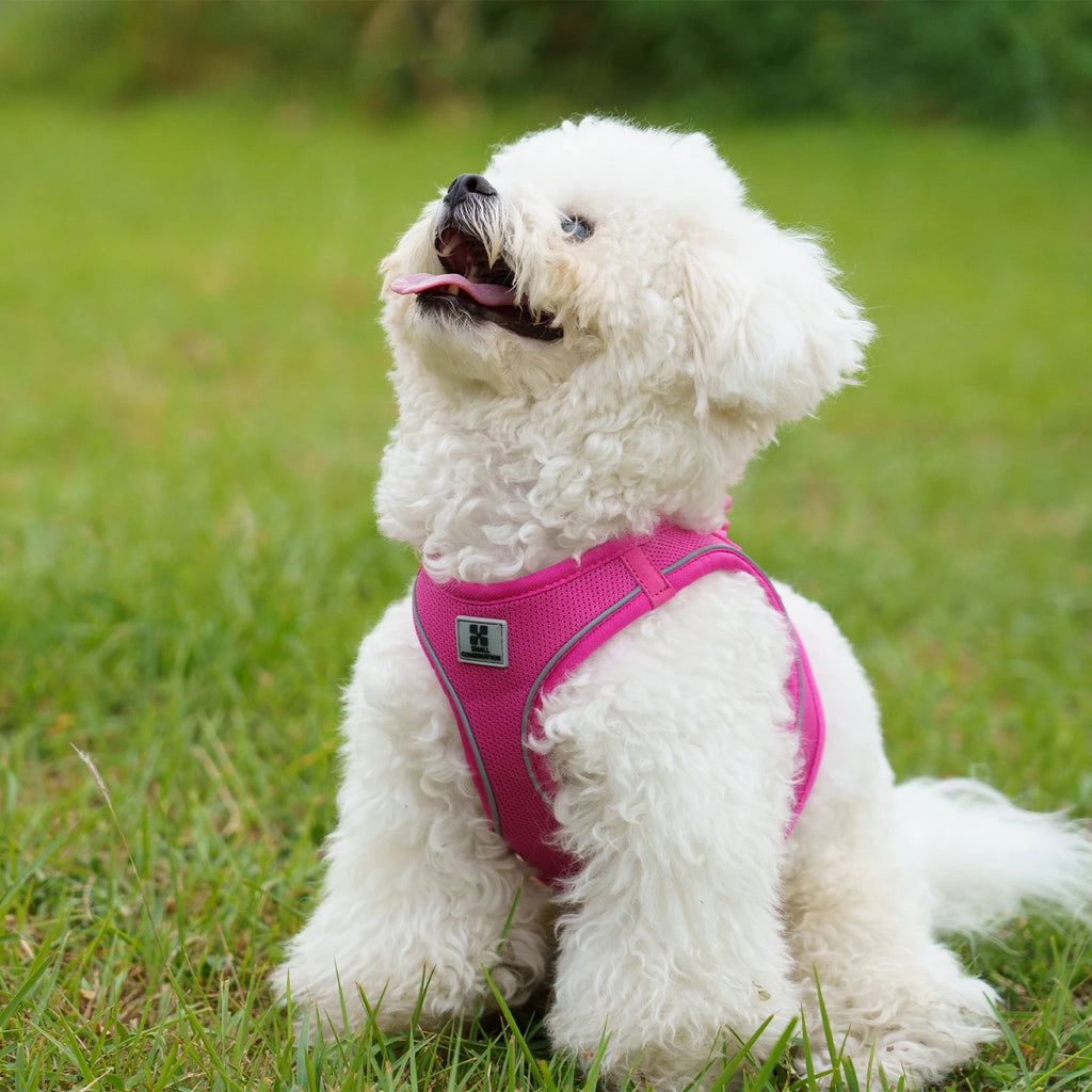 SMALL COMBINATION Air-Mesh Dog Harness & Leash Set | 360° Reflective, Padded & Quick Release | Small/Medium